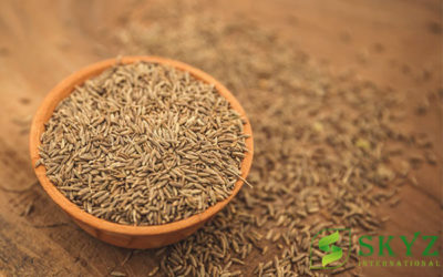 Cumin Seeds Exporter in India SKYZ INTERNATIONAL