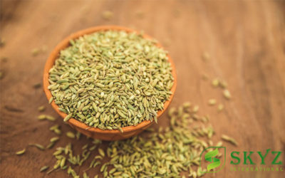 Fennel Seed Exporter in india - skyz international - quality agricultural product exporter