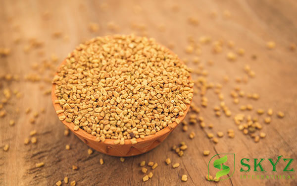 Fenugreek Seeds Exporter from India - SKYZ International - Quality Agricultural Product Exporter