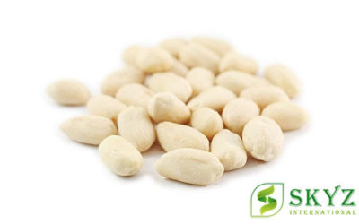 Blanched Peanuts Exporter and Supplier